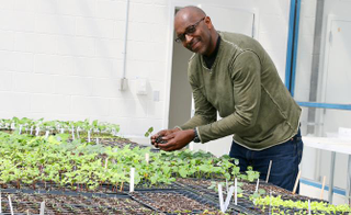 Illustration for article titled 7 Urban Farmers You Should Know
